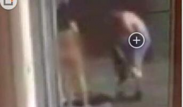 校园不雅视频,揭秘不雅视频事件真相